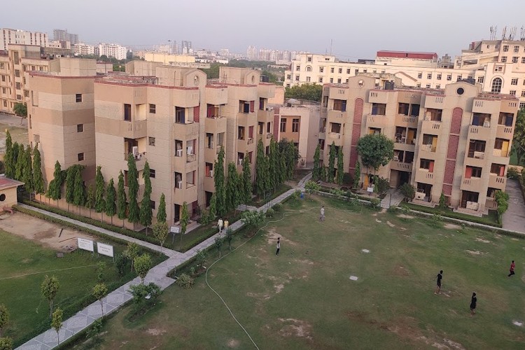 Accurate Institute of Management and Technology, Greater Noida