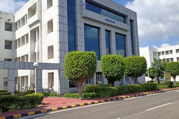 Accurate Institute of Management and Technology, Greater Noida