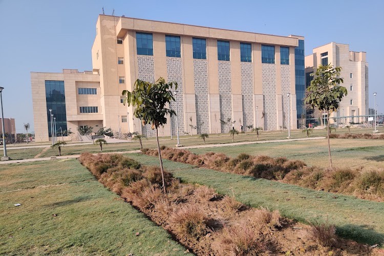 All India Institute of Medical Sciences, Bathinda