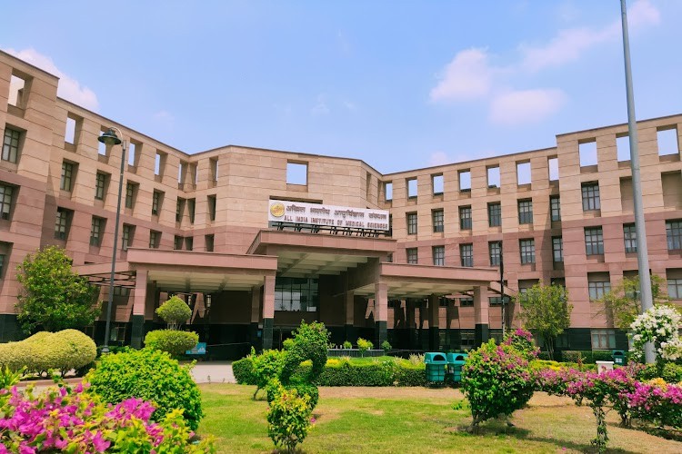 All India Institute of Medical Sciences, Jodhpur