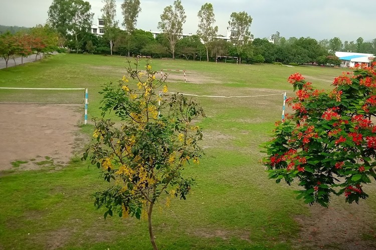 Amrapali University, Haldwani