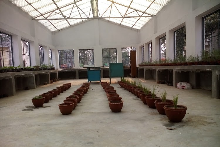 Bidhan Chandra Krishi Viswavidyalaya, Mohanpur