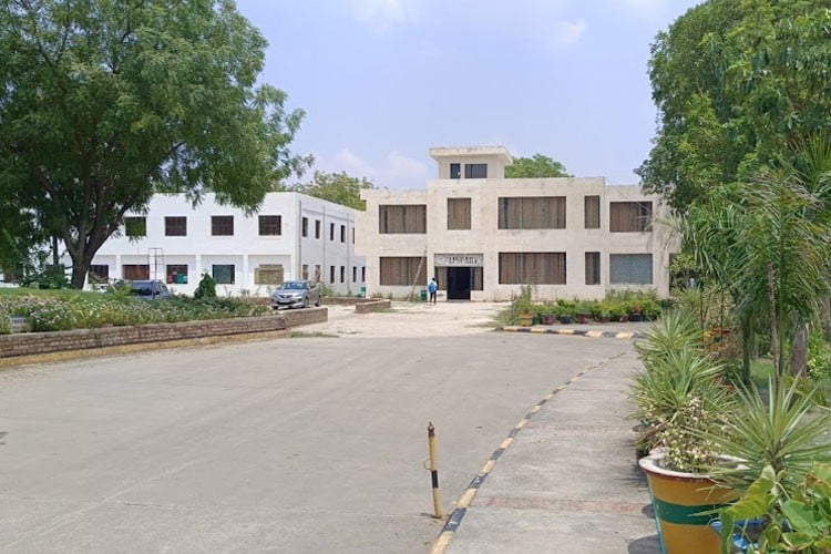 BL Jindal Suiwala College, Bhiwani