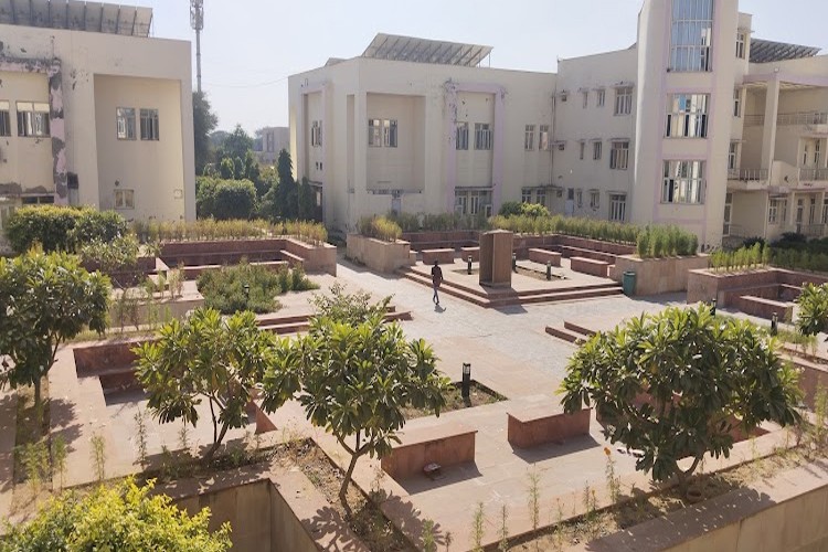 Central University of Haryana, Narnaul