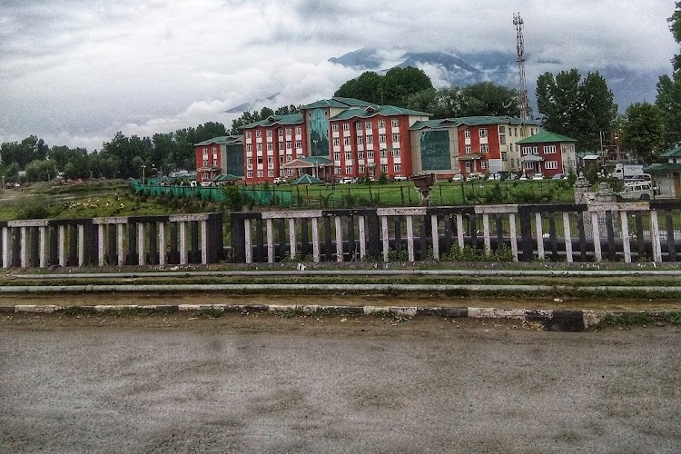 Central University of Kashmir, Srinagar