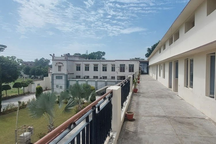 DAV College, Hoshiarpur