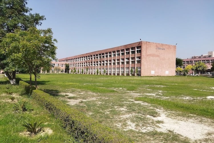 Deenbandhu Chhotu Ram University of Science and Technology, Sonipat