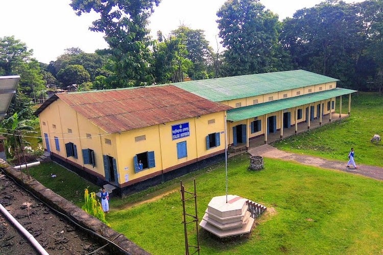 Dhing College, Nagaon