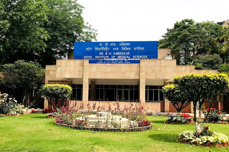 Dr. B. R. Ambedkar State Institute of Medical Sciences, Mohali