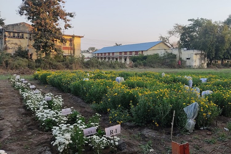 Dr. Panjabrao Deshmukh Krishi Vidyapeeth, Akola