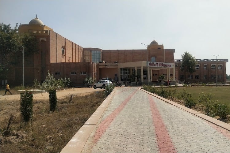 Dr Sarvepalli Radhakrishnan Rajasthan Ayurved University, Jodhpur