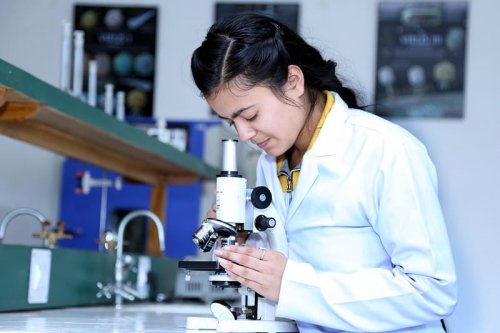 Faculty of Basic Sciences, Shoolini University, Solan