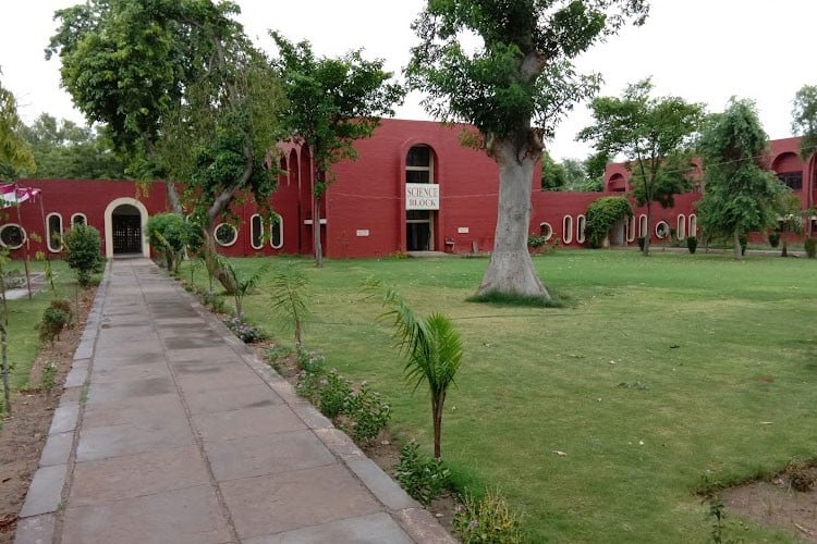 FGM Government College, Hisar