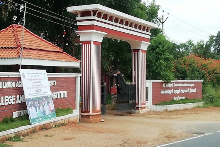 Forest College and Research Institute, Mettupalayam