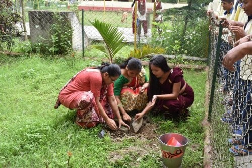 Furkating College, Golaghat