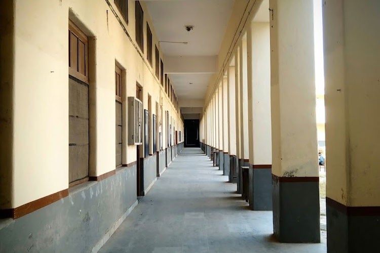 Government Lohia College, Churu