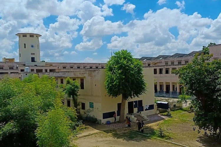 Government Lohia College, Churu