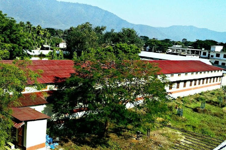 Haji Anfr Ali College, Nagaon