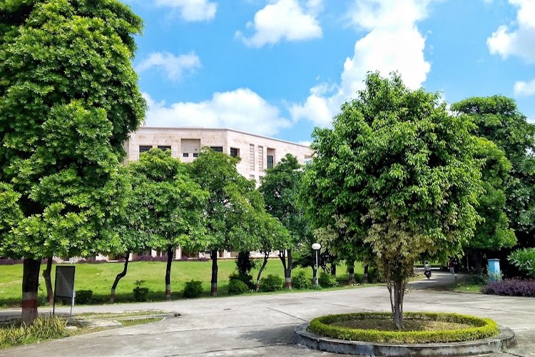 Indian Institute of Information Technology, Allahabad