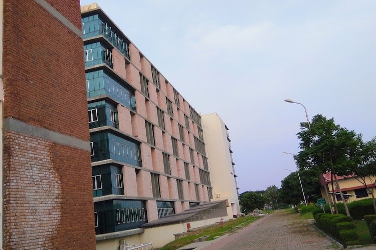 Indian Institute of Information Technology Design and Manufacturing, Chennai