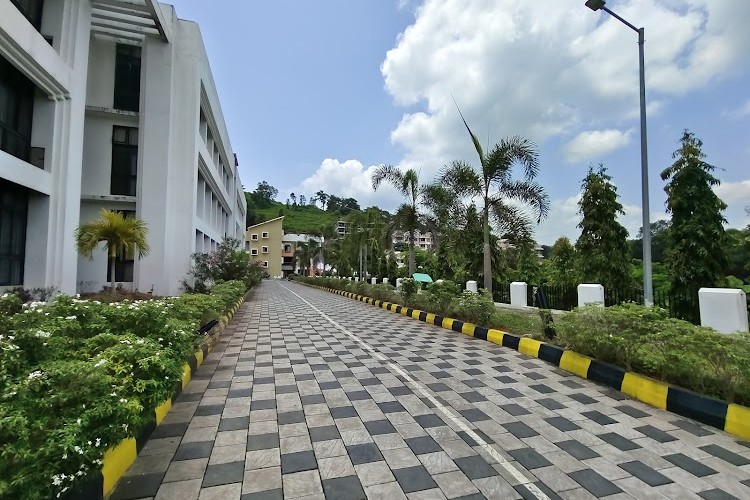 Indian Institute of Information Technology, Kottayam