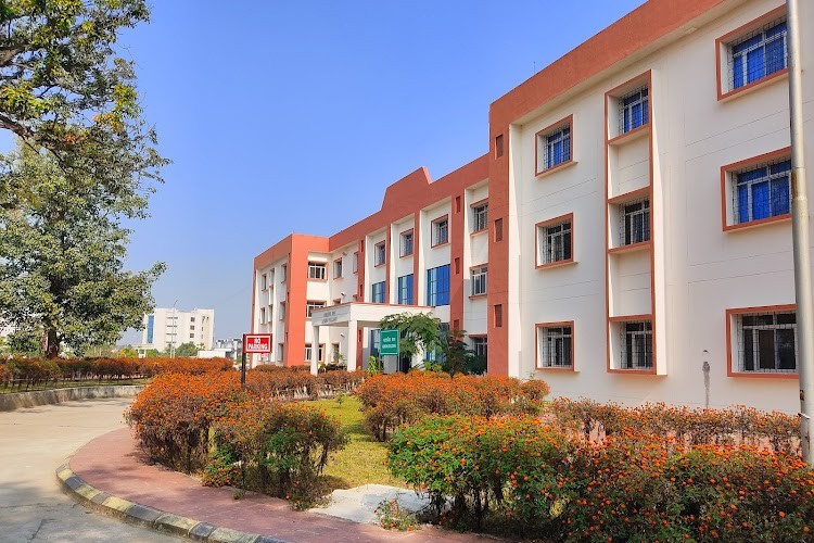 Indian Institute of Information Technology, Ranchi