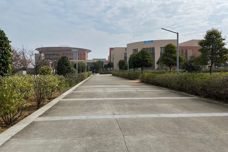 Indian Institute of Management, Rohtak