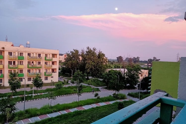 Indian Institute of Technology, Ropar