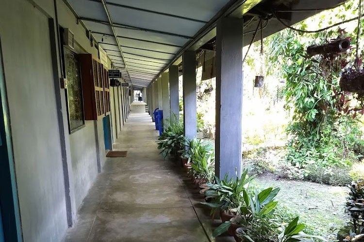 Indira Gandhi Government College, Lohit