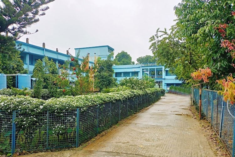 Kaliyaganj College, Uttar Dinajpur