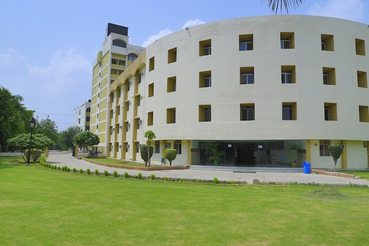 Lloyd School of Law, Greater Noida