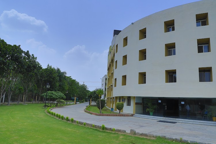 Lloyd School of Law, Greater Noida