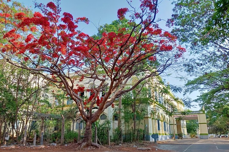 Maharanis Arts and Science College for Women, Mysore