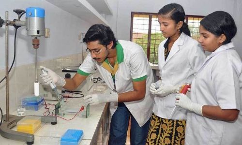 Mar Augusthinose College Ramapuram, Kottayam