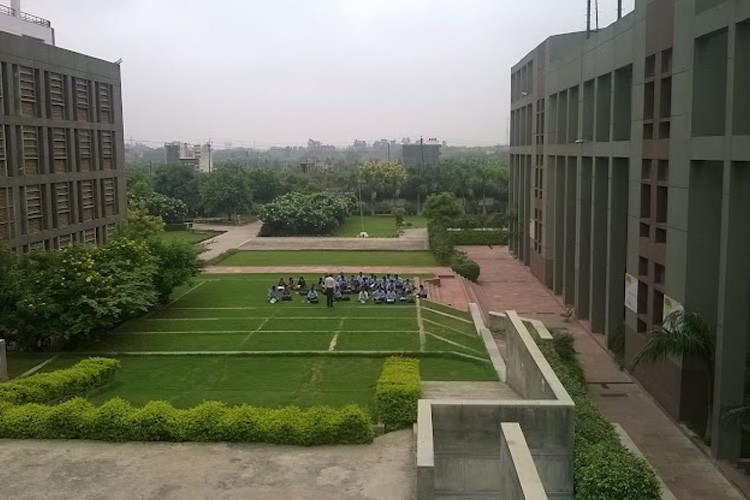 Master School of Management, Meerut