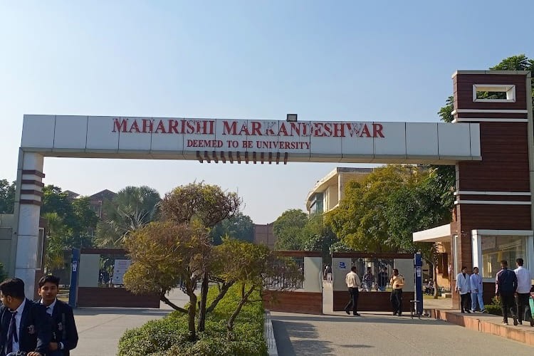 MM Institute of Medical Sciences & Research, Ambala