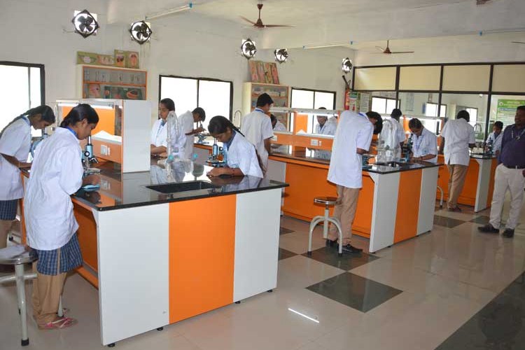 Mother Theresa Institute of Pharmaceutical Education & Research, Kurnool