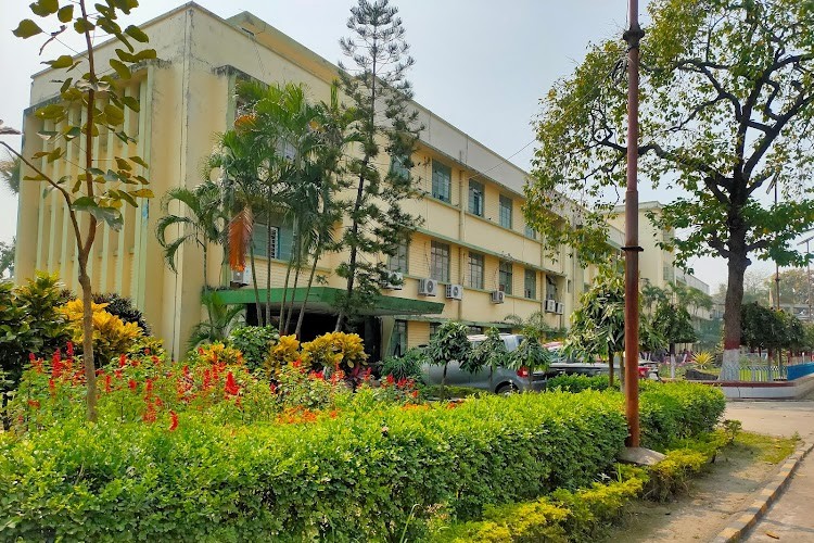 National Institute for Locomotor Disabilities (Divyangjan), Kolkata