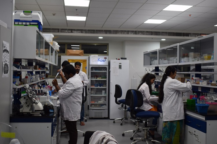 National Institute of Animal Biotechnology, Hyderabad