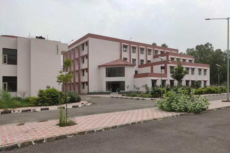 National Institute of Electronics and Information Technology, Ropar