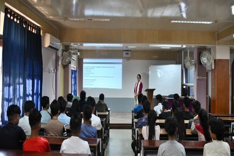 National Institute of Electronics and Information Technology, Aizawl