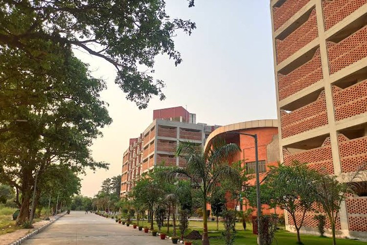 National Institute of Technology, Jalandhar