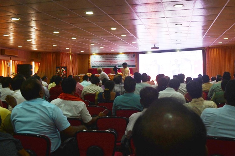 National Research Centre for Cashew, Puttur