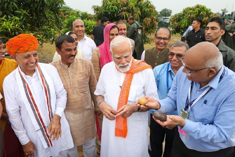 National Research Centre for Cashew, Puttur