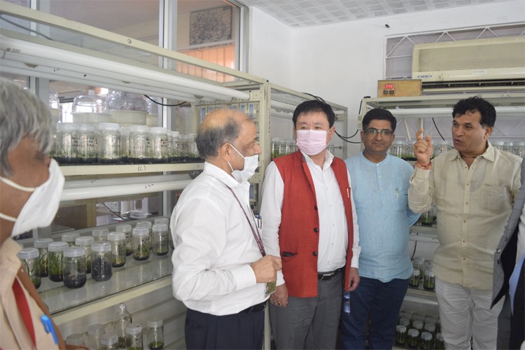 National Research Centre for Orchids, East Sikkim