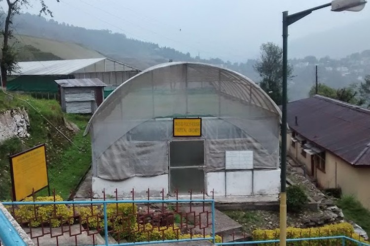 National Research Centre for Orchids, East Sikkim