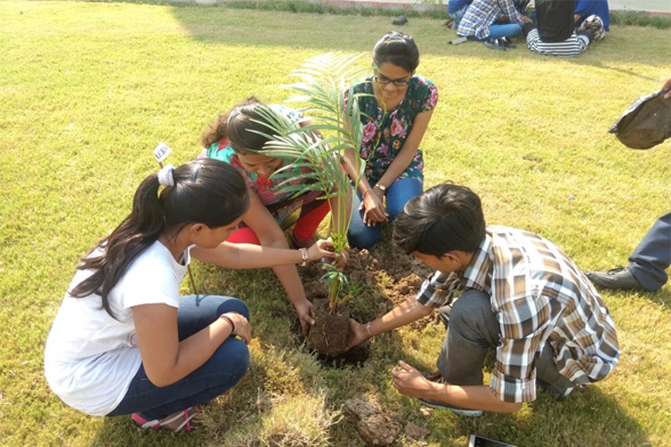 Prime Group of Institutions Navsari, Surat