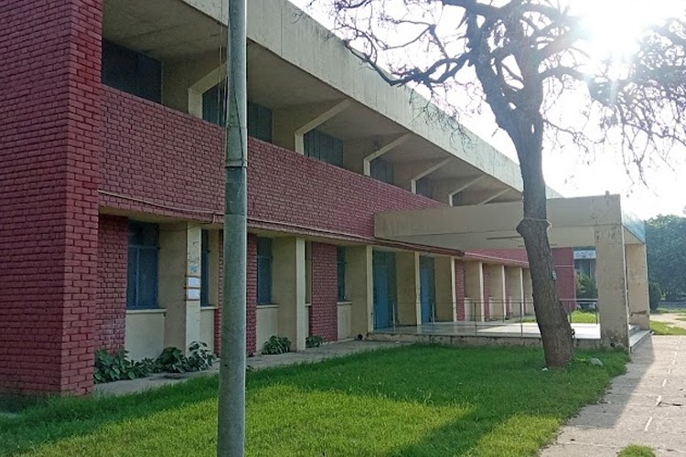 Punjab Agricultural University, Ludhiana