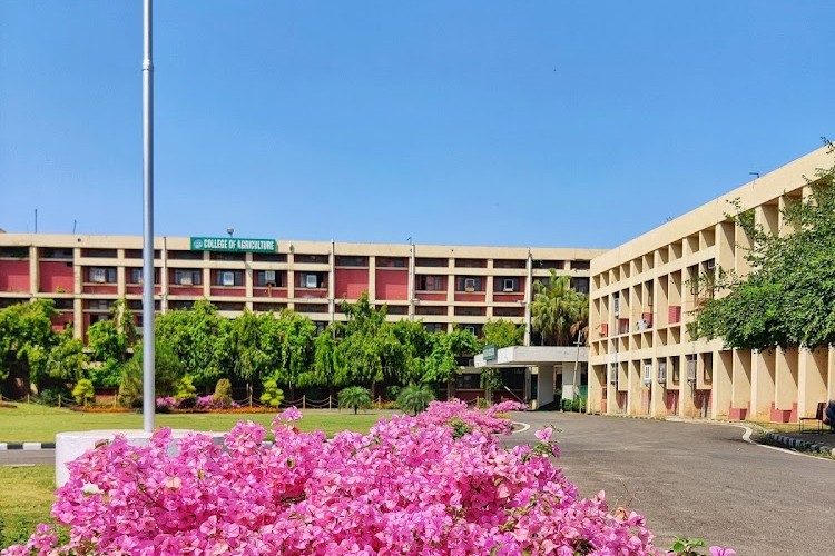 Punjab Agricultural University, Ludhiana