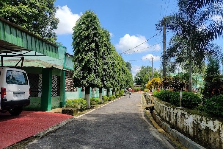 Regional Institute of Pharmaceutical Science & Technology, Agartala